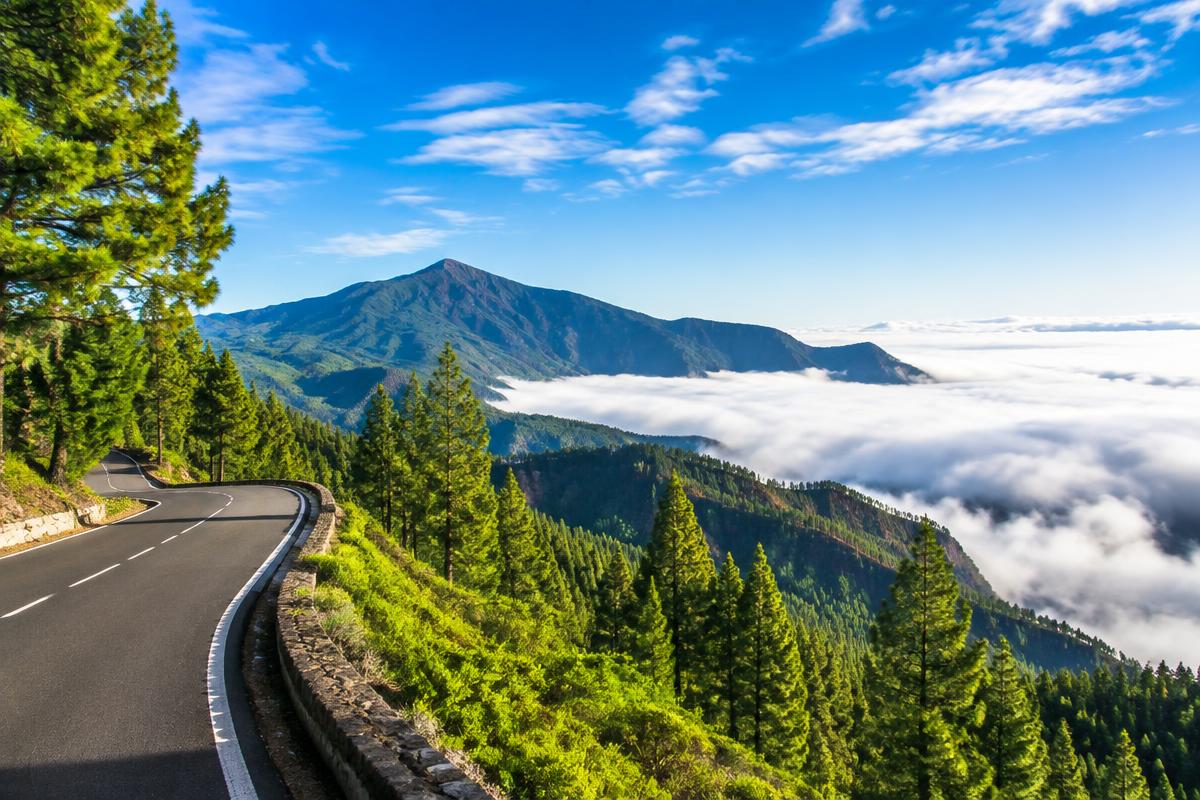 Carretera de montaña sobre un mar de nubes entre pinares en una isla volcánica